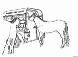 Schleich Pferde Ausdrucken Malvorlagen Coloring sketch template