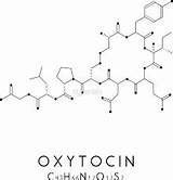 Oxytocin Structure Chemical Result Tattoo Body Google Au sketch template