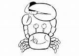 Krab Crab Mewarnai Kleurplaten Krabbe Kepiting Caranguejo Crabe Animasi Granchi Caranguejos Crabs Bergerak Animierte Ausmalbild Krebs Bewegende Animaties Krabben Granchio sketch template