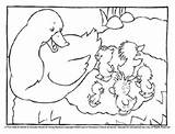 Coloring Pages Duck Puddle Ducklings Nest Mama Paper Sheet Little Quack Color Print Widdle Waddle Piddle Her Getcolorings Coloringpages sketch template