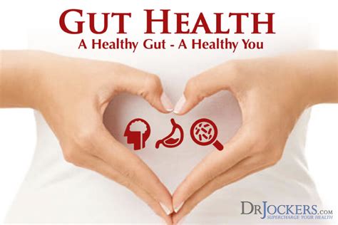gut health ruining  life drjockerscom