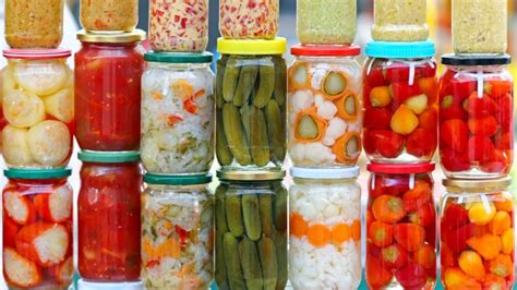 la fermentation des aliments expliquée par deux spécialistes on n est