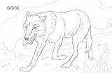 Wolf Coloring Pages Wild Printable Print Realistic Running Dog Drawing Color Forest Animal Animals Vlk Sheets Fox Drawings Adult Printables sketch template