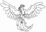Griffin Coloring Griffin2 sketch template