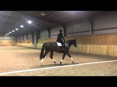 dressage intro  march  youtube