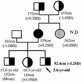 Pedigree Heterozygous Mutation Genotype Detected Homozygous Grandparents sketch template