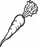Carrot Coloring Pages Kids Carrots Printable Drawing Choose Board sketch template