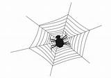 Spinnennetz Spinne Malvorlage sketch template