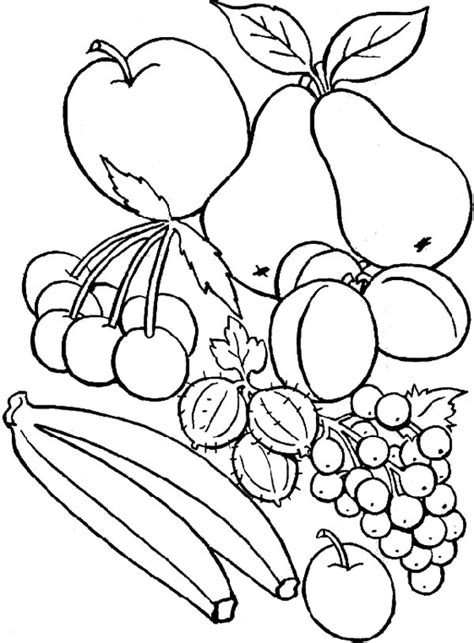 delicious fruit coloring page netart
