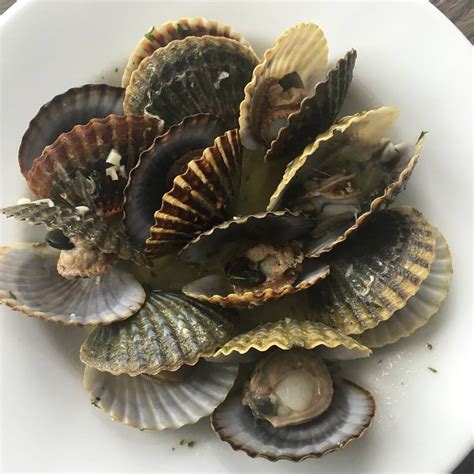 golocalprov matunuck oyster bar named    seafood restaurants