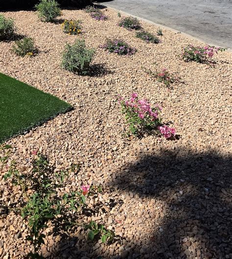 natural stone gravel ground cover eds landscaping