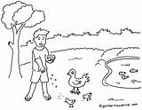 Hewan Mewarnai Sketsa Menyayangi Kolam Binatang Tumbuhan Ayam Tentang Kelinci Colouring Berbagi Gambarmewarnai Disimpan sketch template