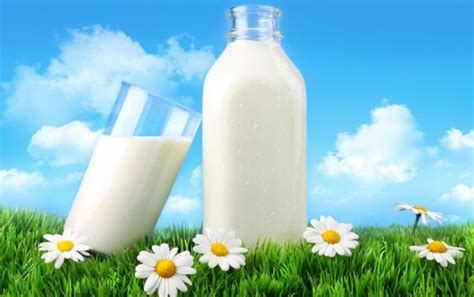 natural good milk  hd picture  stock   image format jpg