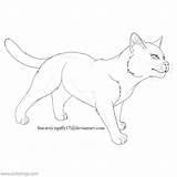 Coloring Pages Warrior Cat Xcolorings 900px 46k Resolution Info Type  Size Jpeg sketch template