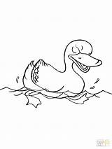 Coloring Pages Ducks Duck Wood Cute Flying Drawing Getdrawings Getcolorings Duckling sketch template