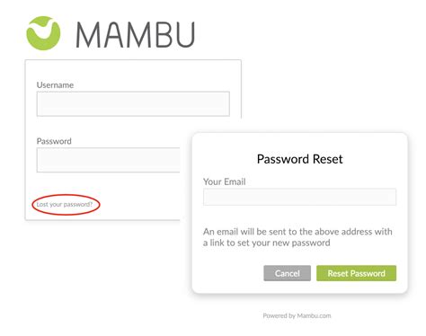 reset password  captcha login authentication mambu basics