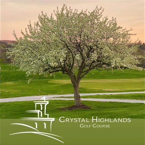 crystal highlands golf  festus mo