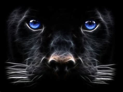 night panther fire silence nogood
