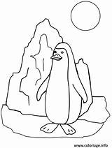 Banquise Pingouin Coloriage Dessin Soleil Imprimer Colorier sketch template