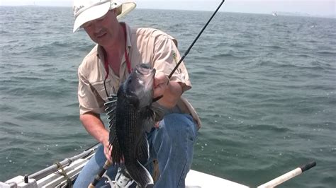 Tips And Tricks How To Catch Black Sea Bass Youtube