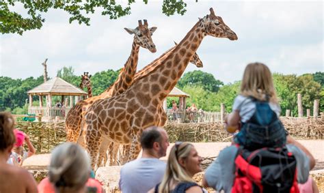 comp closedwin marwell zoo   overnight stay time leisure