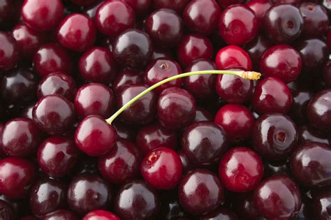 Canadian Cherry Producers Home To Canadian Sour Cherries