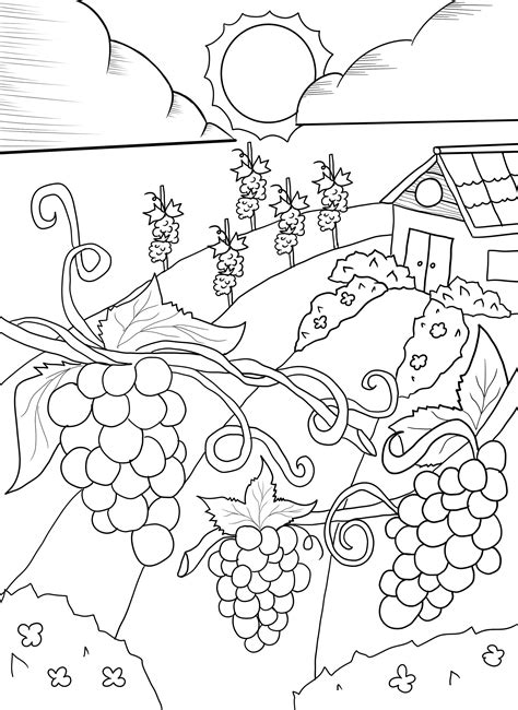 wine vineyard coloring page instant   grapes etsy