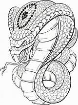 Cobra Snakes Fox sketch template