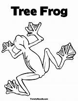 Coloring Frog Tree Pages Outline Popular Clipart Library Coloringhome sketch template
