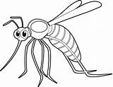 Mosquito Clipart Outline Insect Sucking Animals Blood Clip Cartoon Vector Transparent Available Classroomclipart sketch template