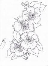 Flower Hawaiian Coloring Flowers Drawing Hibiscus Tattoos sketch template