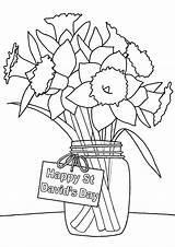 Daffodils Davids sketch template