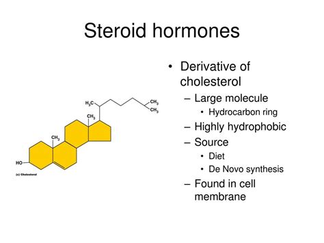 ppt nature of hormones powerpoint presentation free download id