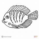 Tang Fisch Doktorfische Chirurgo Pesci Ausmalbild Fischbilder Kategorien sketch template