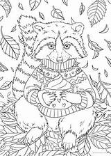 Raccoon Favoreads Racoon Adults Coloriage Disney Dessin Vendu sketch template
