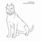 Coloring Staffordshire American Terrier Amstaff Dog Pages Own Color Drawings Line sketch template