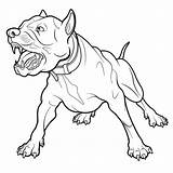 Barking Aggressive Pitbull Bull Graphicriver sketch template