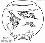 Coloring Aquarium Fish Pages Pet Tank Pets Empty Color Kids Animals Books Animal Preschool Water Template Toddlers sketch template