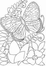 Coloring Butterfly Flowers Pages Flower Butterflies Kids Color Among Printable Hard Sheets Adult Drawing Adults Insects Super Print Book Supercoloring sketch template