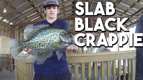giant black crappie crappie fishing mix youtube