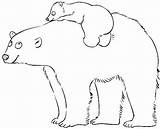 Colorat Imagini Urs Polare Orso Pentru Coloring Animale Colorare Polari Bear Ursuleti Polul Salbatice Planse Ours Pisici Copii Cheznounoucricri Conteaza sketch template