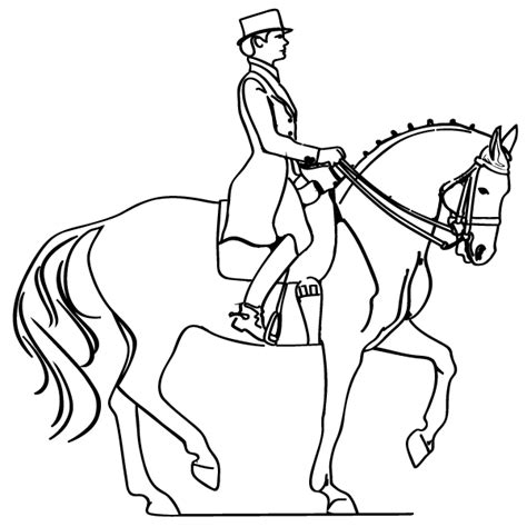 horse  rider coloring page coloring home