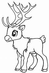 Renos Reindeer Kawaii Dibujar Navideños Facil Faciles Aprende Clipart Raindeer sketch template