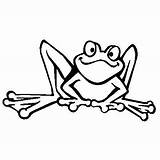 Frog Froggy Prosportstickers Line Drawing sketch template