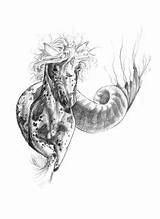 Coloring Pages Hippocampus Imagination Illustration Mermaids Sketches Fantasy Deviantart Cool Body sketch template