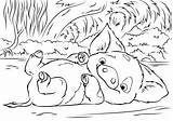 Moana Coloring Pages Pig Printable Disney Pua Choose Board K5worksheets sketch template