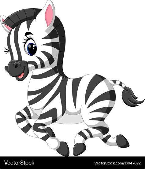 cute baby zebra royalty  vector image vectorstock