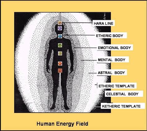 energetic levels   human energy field    energy pinterest