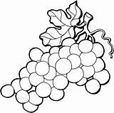Coloring Pages Fruits Grape sketch template