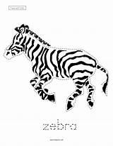 Zebra Trace Preschool African Animals Tracing Worksheet Theme Color Kidsparkz Reviewed Curated Kindergarten sketch template